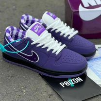 Nike sb dunk low poizon