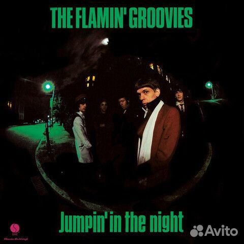 The Flamin' Groovies / Jumpin' In The Night (LP)
