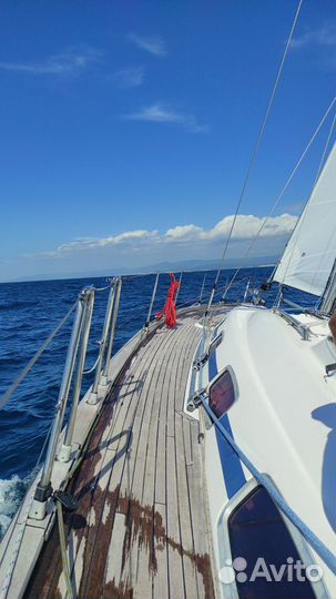 Обучение, практика, прогулка на парусной яхте