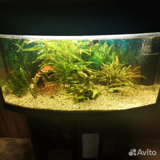 Аквариум с тумбой