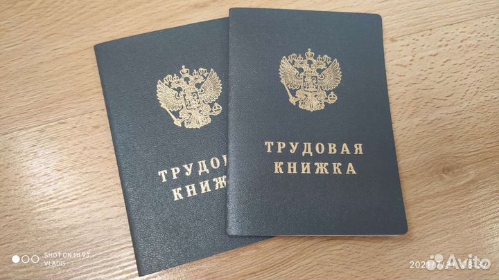 Трудовая ТК 1