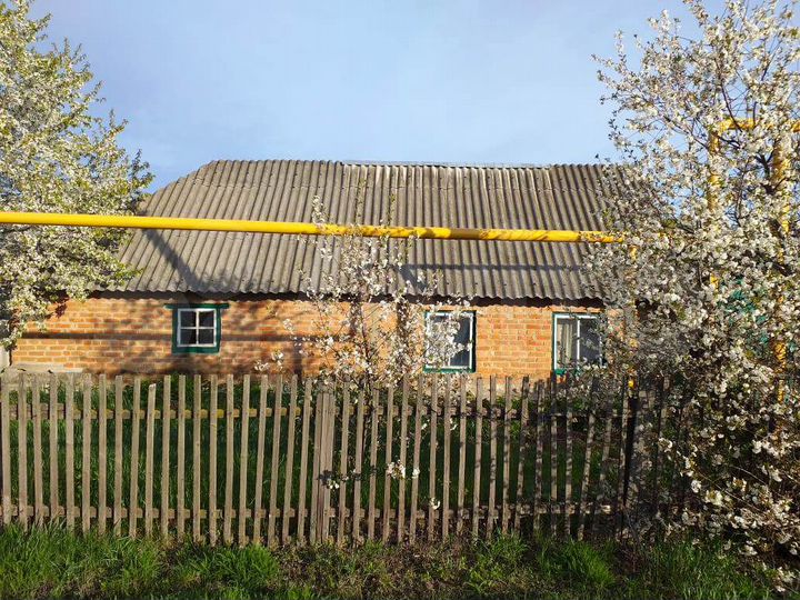 Дом 46,2 м² на участке 41 сот.