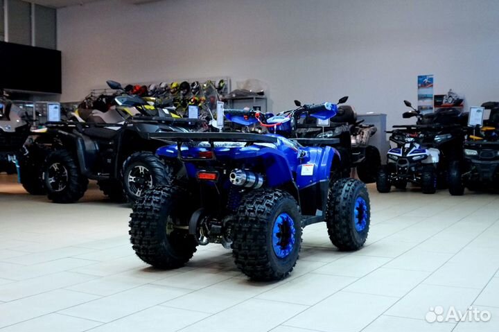 Avantis Hunter 8 New