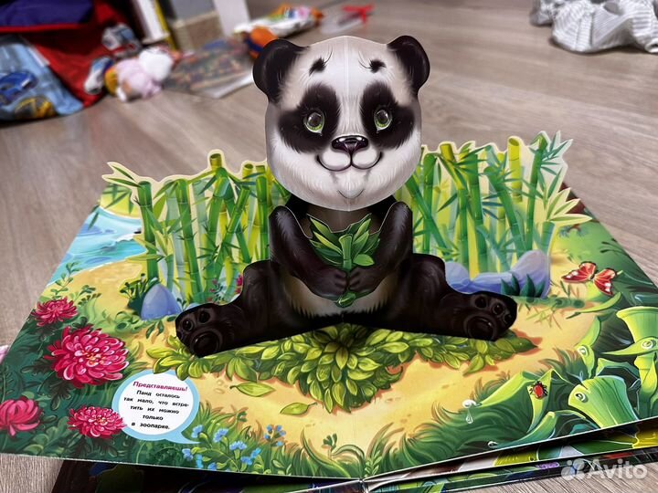 Книги и картоки для малышей