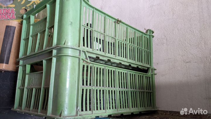 Пластиковые ящики для хранения бу