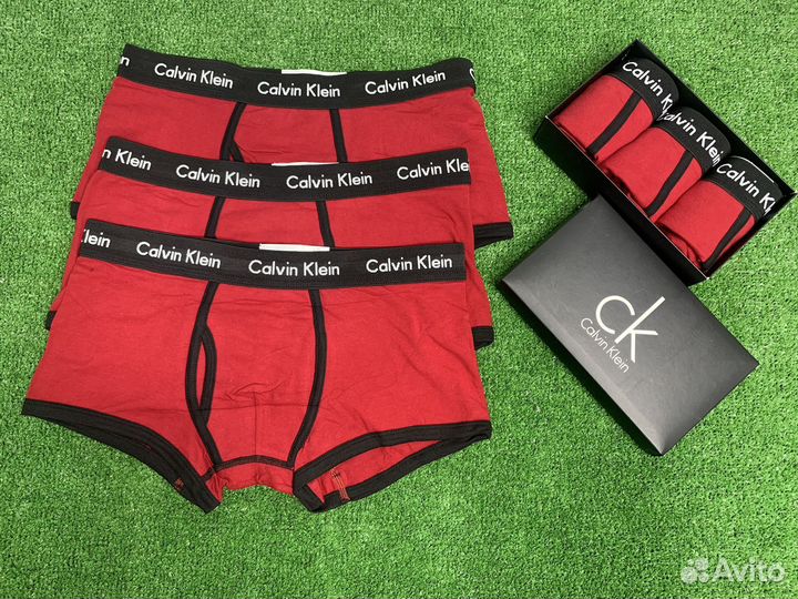 Calvin klein deals jpo