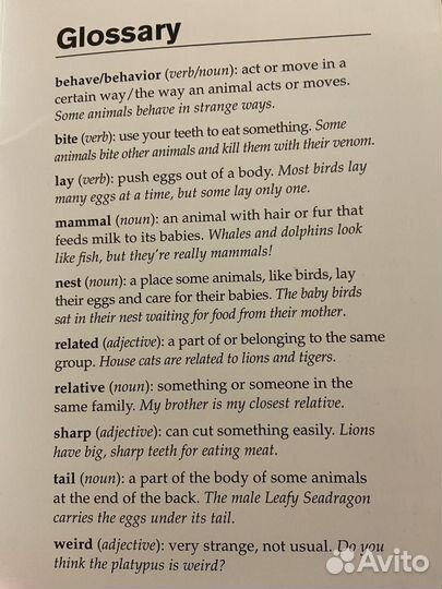 Книга для чтения Weird Animals levelA2