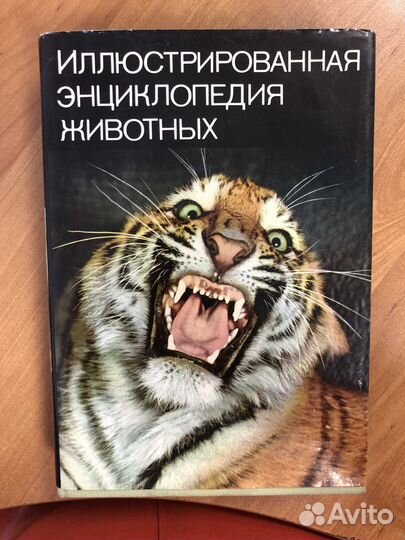 Иллюстрированная энциклопедия животных 1988г