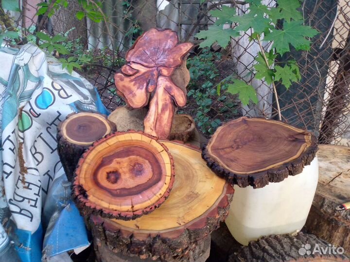 Спилы дерева