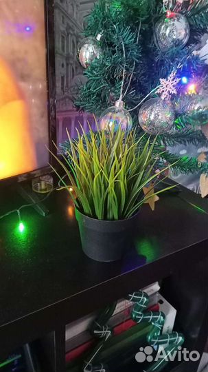 Искусственная трава из Икеа