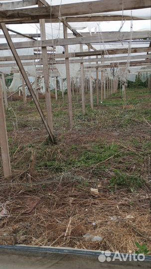 Лес,брус,страпилы,балки