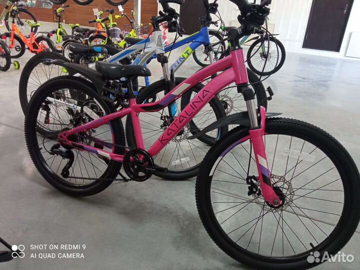 Tech team katalina 24