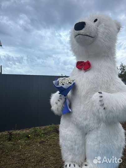 Белый мишка, панда, чебурашка на поздравление