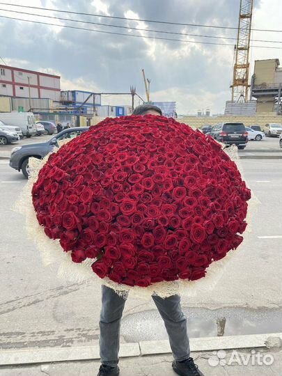 Розы оптом