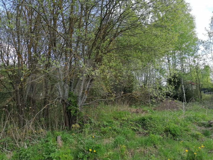 Участок 5,8 сот. (СНТ, ДНП)