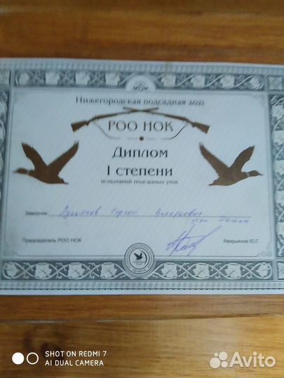 Утки подсадные для охоты сертифицированы