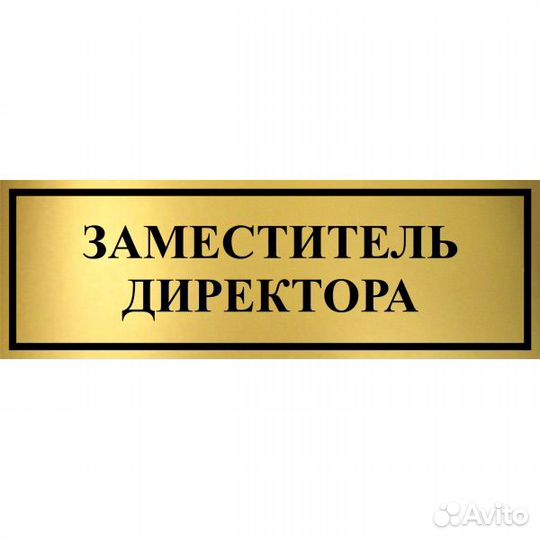 Заместитель руководителя