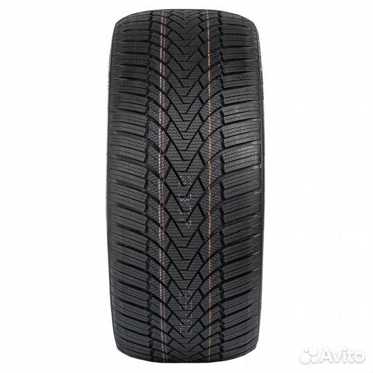 Arivo Winmaster ProX ARW3 195/50 R15 82V