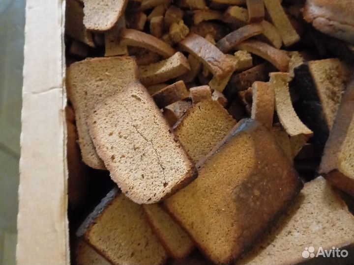 Хлеб и рыба горбуша на корм животным