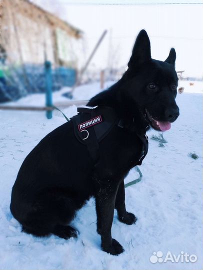 Ищем подружку)