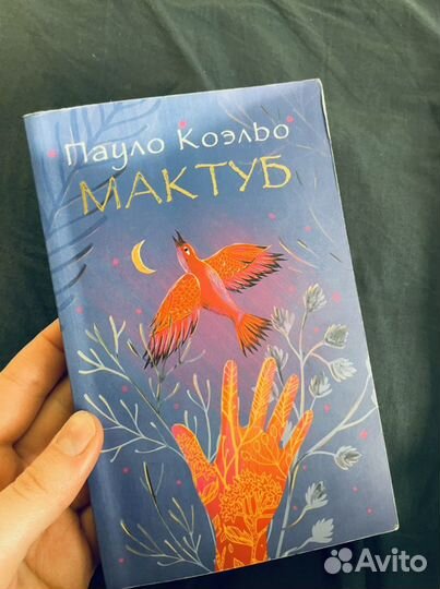 Книга «Мактуб»