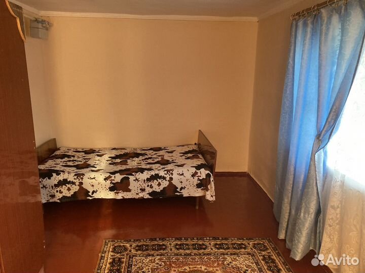 Охота и рыбалка