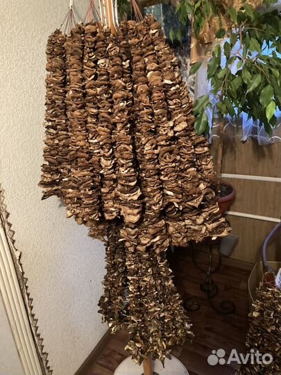 Сушеные и маринованные грибы