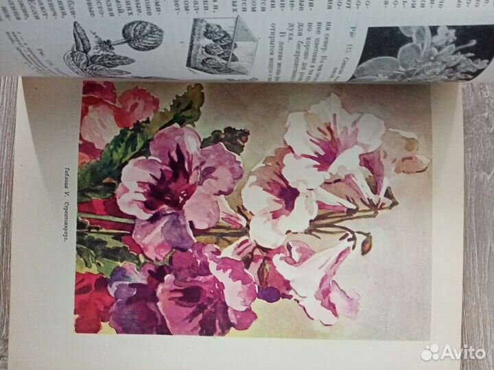 Комнатное садоводство