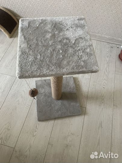 Когтеточка