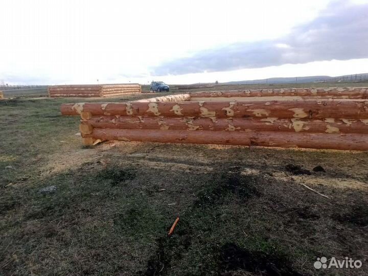 Сруб дома 8х8