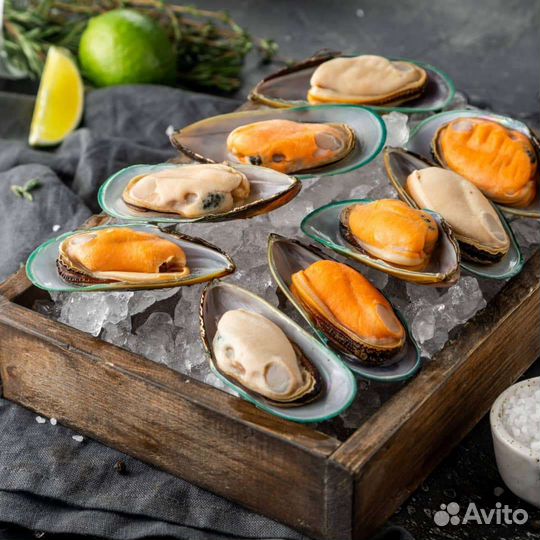 Мидии зелёные