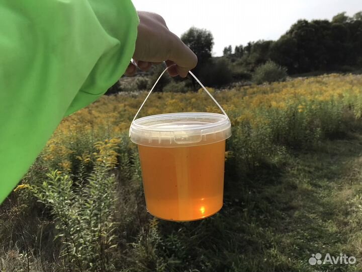 Мёд из д. Бежин луг