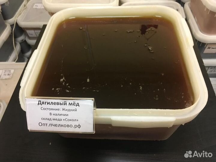 Мед дягиль оптом