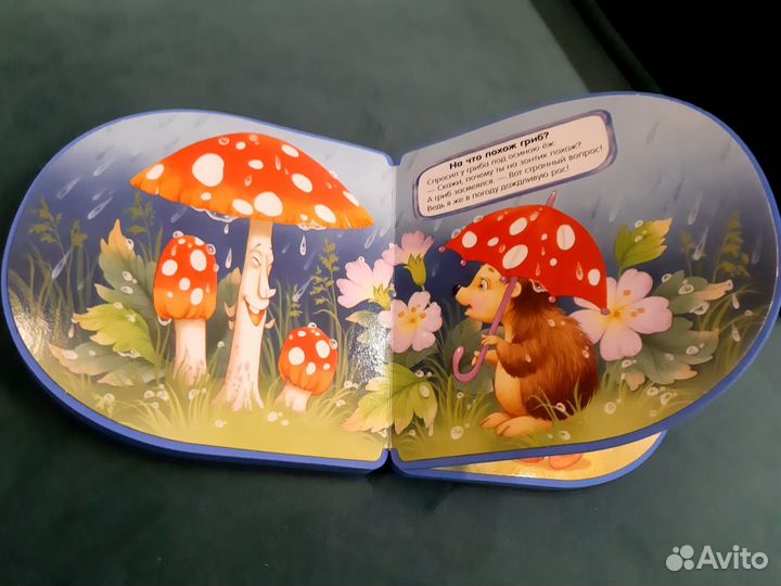 Книжка пышка 