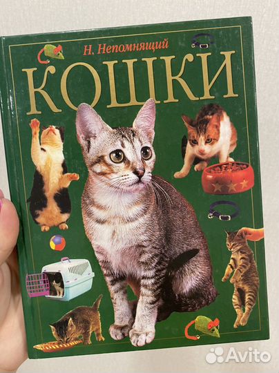 Книга про кошек