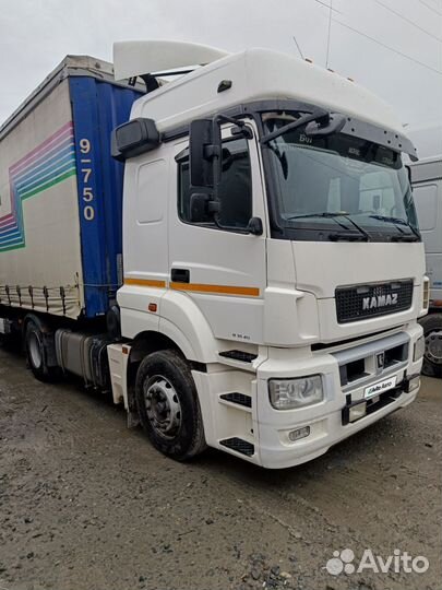 КАМАЗ 5490, 2018