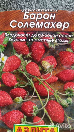 Земляника безусая, ремонтантная