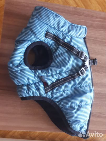 Попона для собак