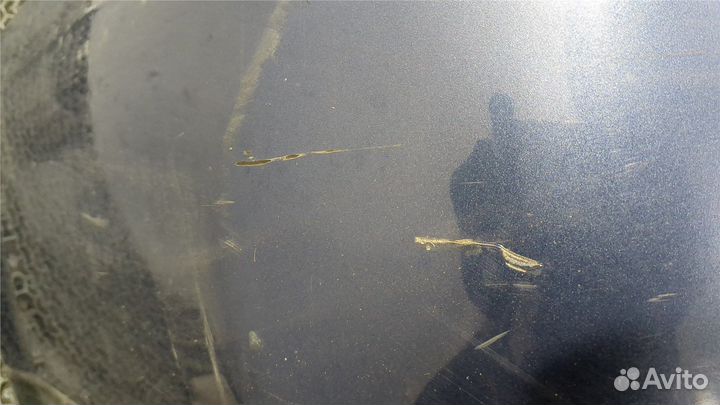 Бампер Subaru Legacy Outback (B13), 2009