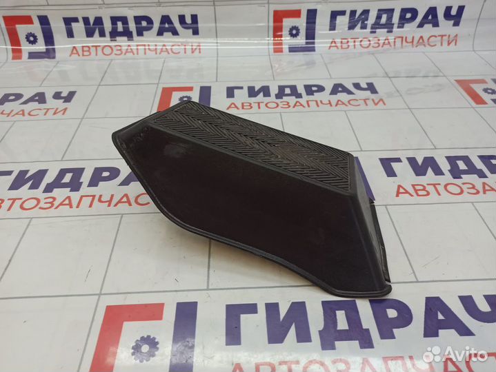 Накладка декоративная под ногу Toyota Land Cruiser Prado (J150) 58190-60170