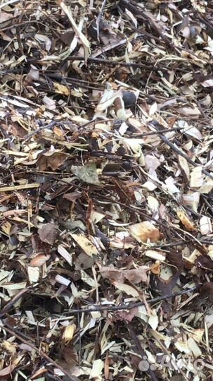 Щепа, мульча, опилки, стружка