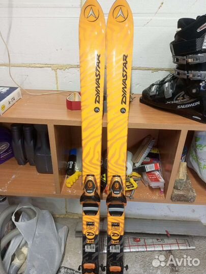 Горные лыжи