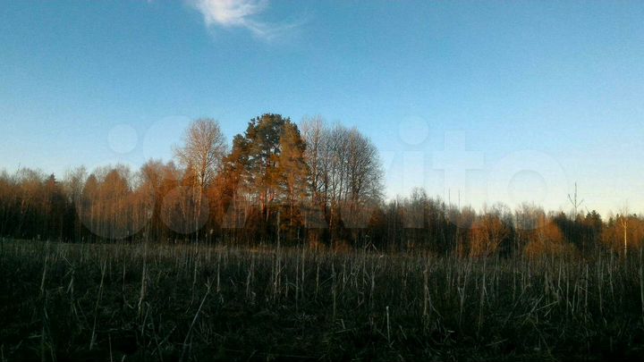 Участок 50 сот. (ИЖС)