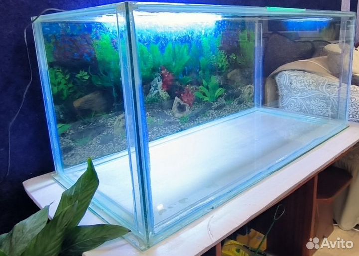 Аквариум