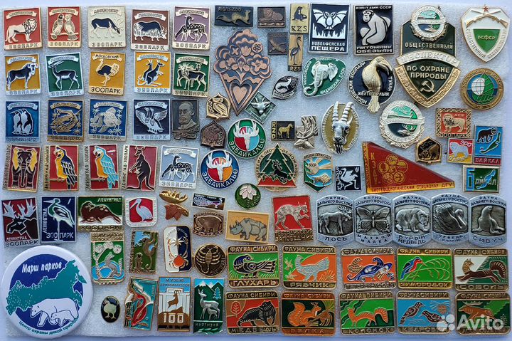 Фауна Зоопарки Животные Звери Птицы