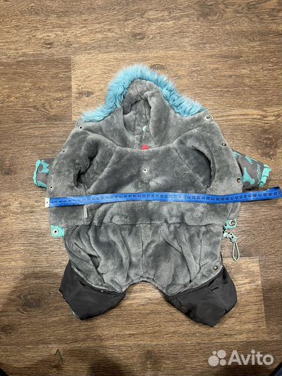 Одежда для собак