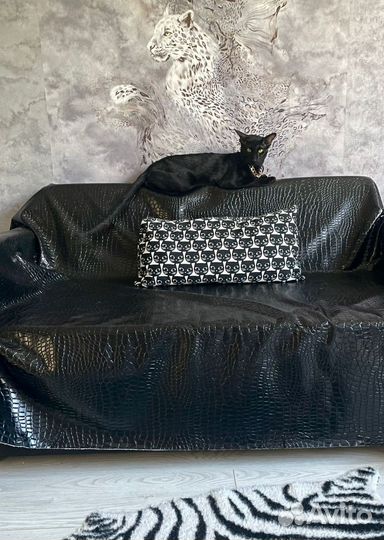 Ориентальные котята
