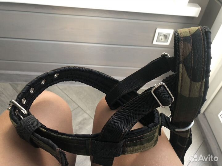 Недоуздок для собак