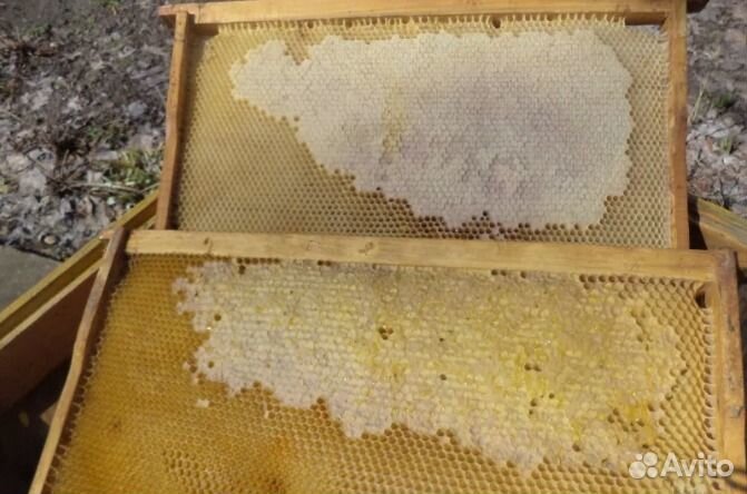 Продается пасека