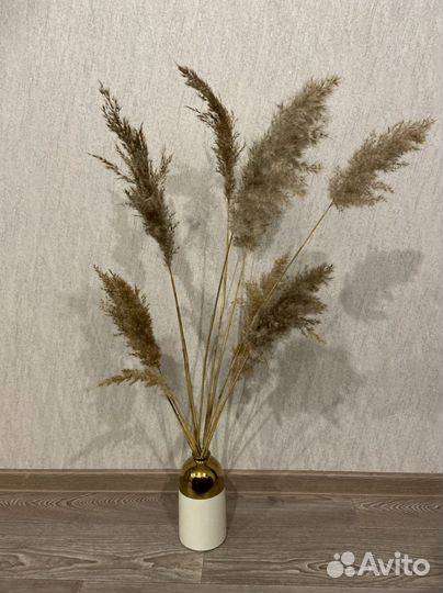 Букет из сухоцветов